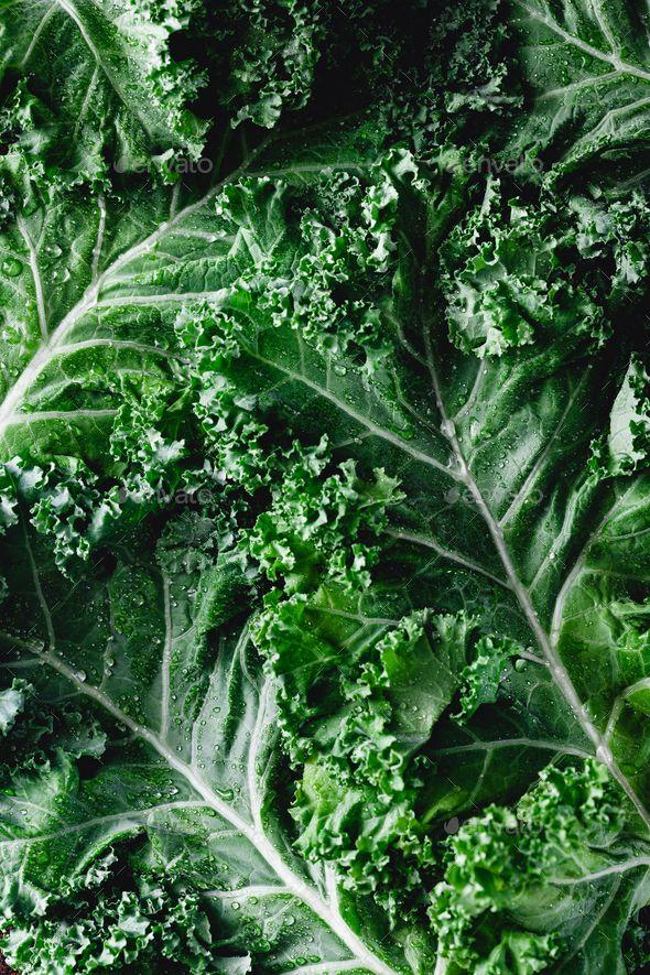 Harvest Symphony: Artisanal Earthly Treasures