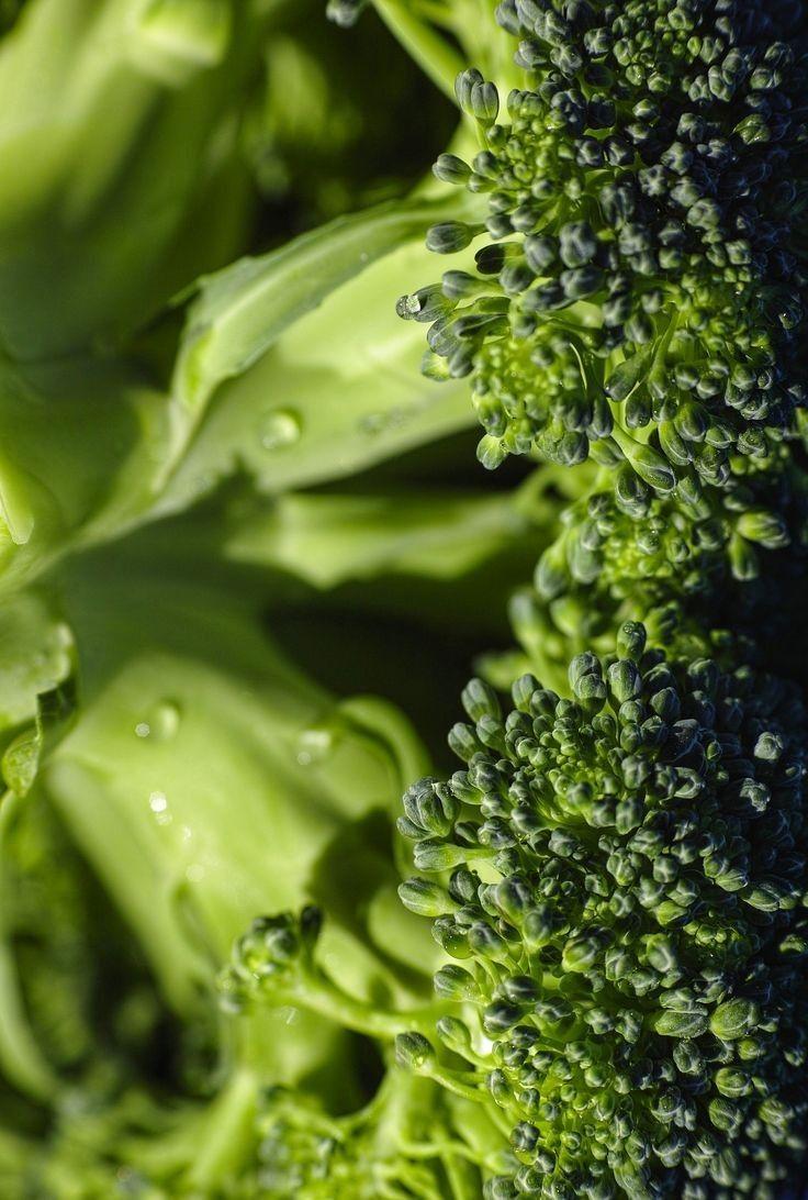 Rustic Bounty: Fresh-Picked Garden Delights